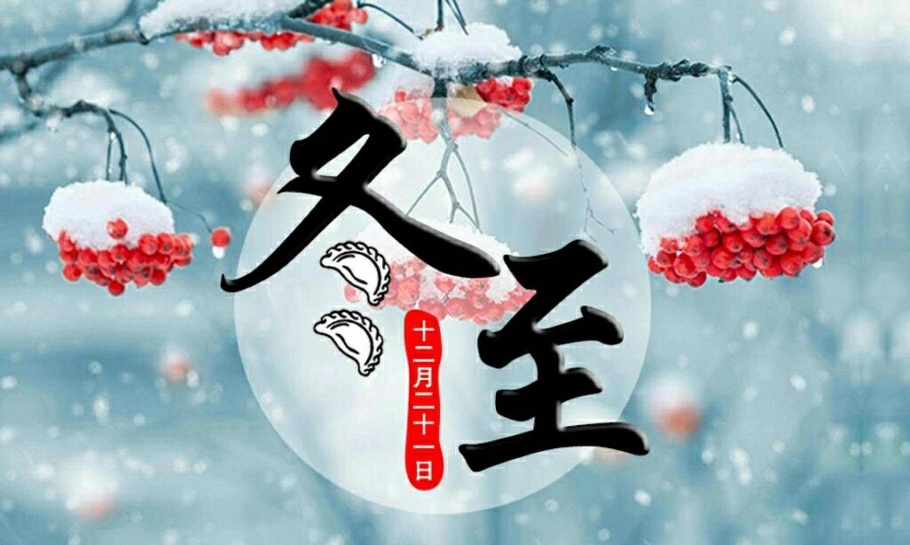 冬至大如年，踏雪来寻梅~